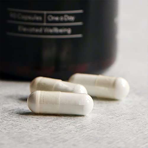 Protein Works - Zinc & Magnesium Supplement Tablets - Added Vitamin B6 - Combats Tiredness & Fatigue