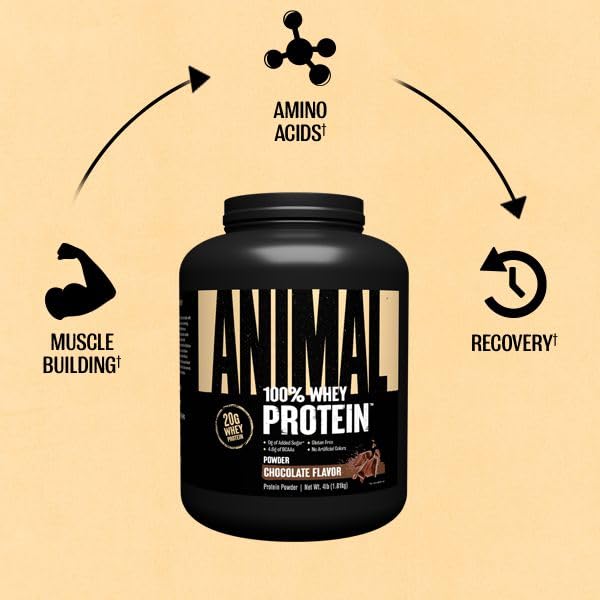 Animal 100% Whey Protein Powder - Whey Blend for Pre- or Post-Workout, Recovery