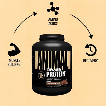 Animal 100% Whey Protein Powder - Whey Blend for Pre- or Post-Workout, Recovery