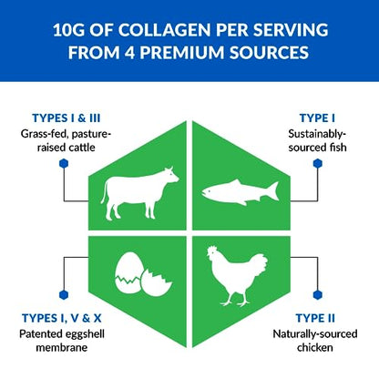 BioTrust Ageless Multi Collagen Peptides Powder - 5 Types (I, II, III, V, X) - Fruit Punch