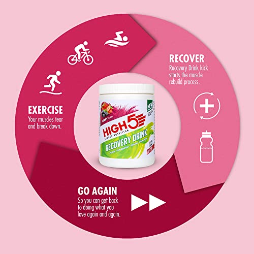 HIGH5 Recovery Drink - Whey Protein Isolate - Promotes Recovery - (Berry, 450g)