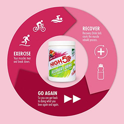 HIGH5 Recovery Drink - Whey Protein Isolate - Promotes Recovery - (Berry, 450g)