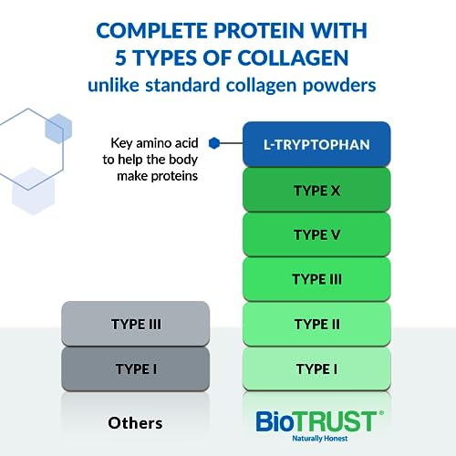BioTrust Ageless Multi Collagen Peptides Powder - 5 Types (I, II, III, V, X) - Fruit Punch