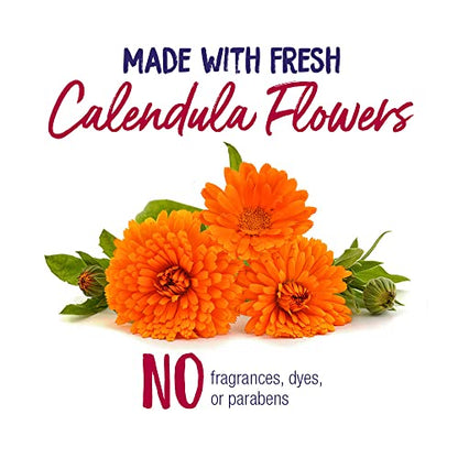 Boiron Calendula Cream for First Aid, Minor Burns, Cuts, Scrapes, Insect Bits and Sunburn - 2.5 oz
