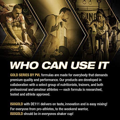 PVL ISO Gold - Grass Fed - Premium Isolate 100% Whey Protein Shake - Orange Krush'd - 908 g