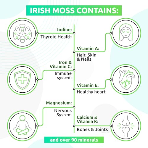 TrueSeaMoss Wildcrafted Irish Sea Moss Gel - Nutritious Raw Seamoss Rich in Minerals