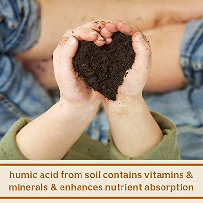 Solluna by Kimberly Snyder Feel Good SBO Probiotics Soil Based Organisms (SBOs)