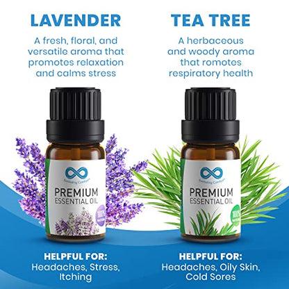 Everlasting Comfort Pure Essential Oils Set - Natural Aromatherapy Essential Oils for Diffuser