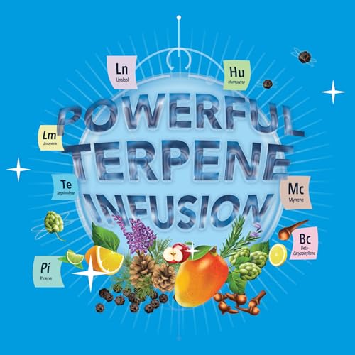 Integra Boost - Terpinolene Infusion - 4 Gram Terpene Essentials Two-Way Humidity Control at 62 Percent RH