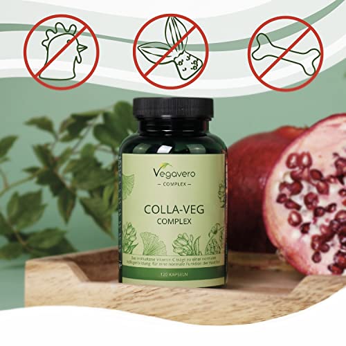 Vegavero Vegan Collagen Supplement - 2000mg - Complex with L-Lysine, L-Proline, Vitamin C (Acerola) & Superfoods Extracts - NO Additives, Lab-Tested - 120 Capsules