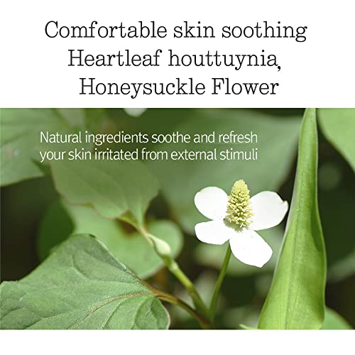 Pyunkang Yul Low pH Feminine Wash with Green Tea, Cica, Moisturizing for Women Vaginal Health