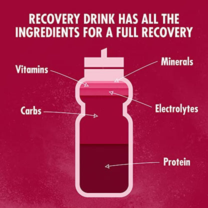 HIGH5 Recovery Drink - Whey Protein Isolate - Promotes Recovery - (Berry, 450g)