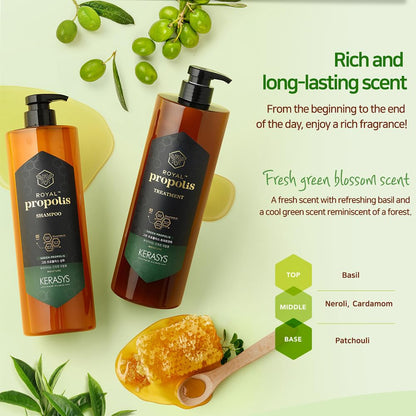 Kerasys Propolis Royal Jelly Extract Green Tea Olive Oil Shiny and Healthy Hair Propolis Green Moisture 33.8 fl oz / 1L (Shampoo, 2-Pack)