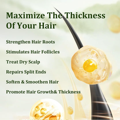 Gypsophila Batana Oil for Hair Growth -100% Pure Natural Hair Growth Oil,Nourishes The Scalp, Eliminates Split Ends, Reduce Hair Loss & Detox Your Scalp (1 Fl Oz) for All Hair Types