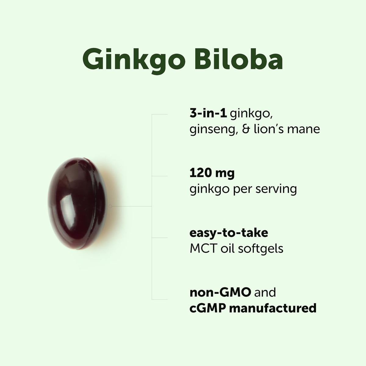 Micro Ingredients Ginkgo Biloba 120 mg Per Serving, 400 Softgels - 3-in-1 with Panax Ginseng & Lion’s Mane - Herbal Mushroom Blend - Made with MCT Oil - Non-GMO