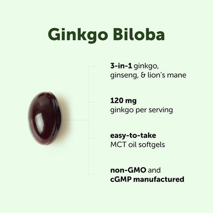 Micro Ingredients Ginkgo Biloba 120 mg Per Serving, 400 Softgels - 3-in-1 with Panax Ginseng & Lion’s Mane - Herbal Mushroom Blend - Made with MCT Oil - Non-GMO