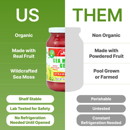EverSmith Organics - Wildcrafted Irish Sea Moss Gel - Made in USA - Rich in Vitamins