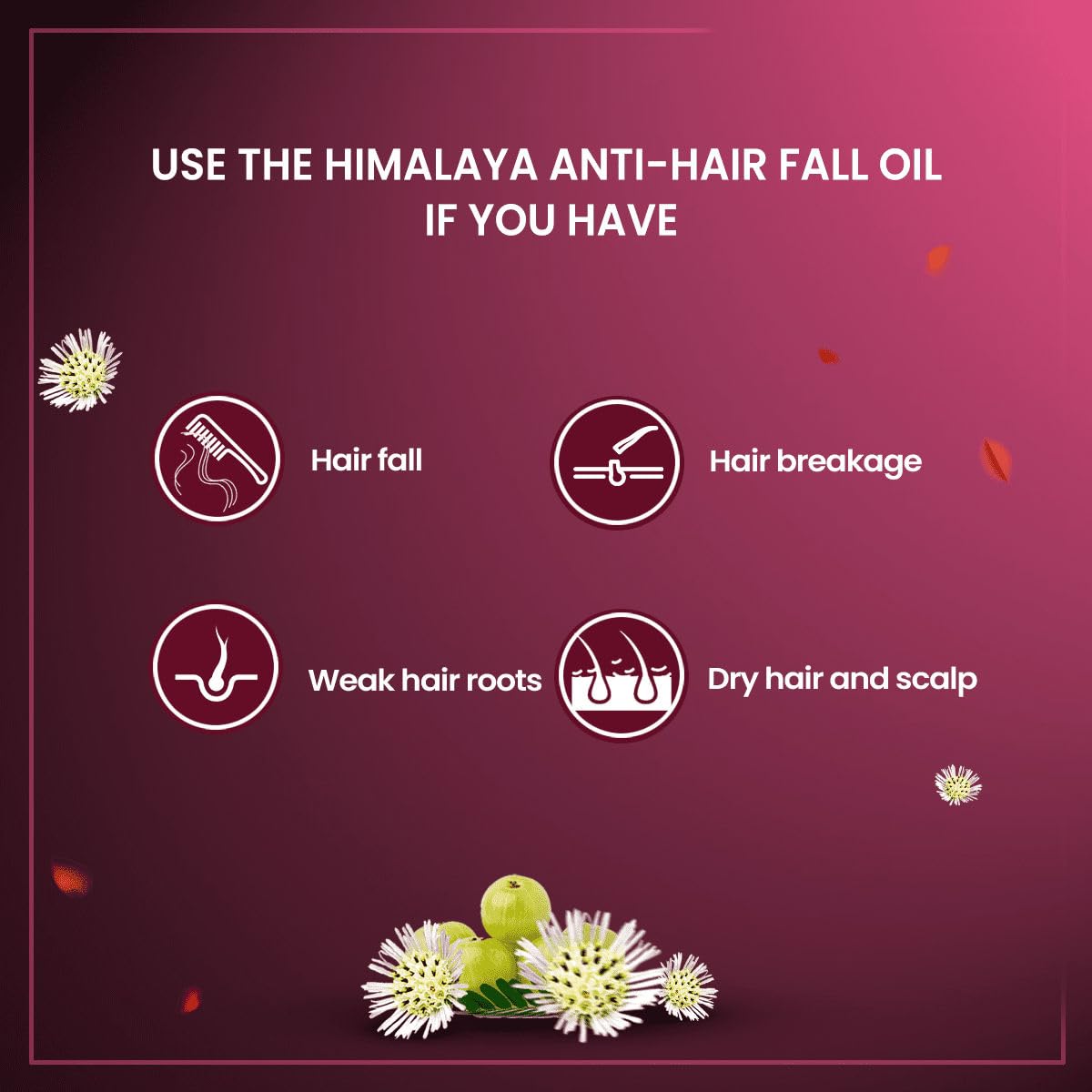Himalaya Anti-Breakage Hair Oil with Thistle and Amla for Damaged Hair and Split Ends 6.76 oz (200 ml) 2 PACK