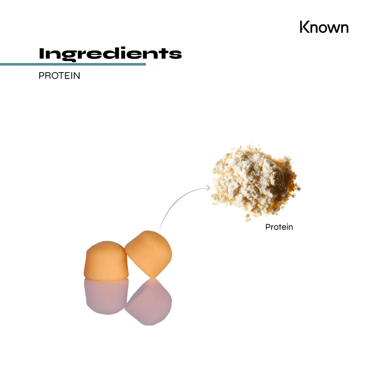 Protein 11g Gummies by Known Nutrition - Help Build and Maintain Healthy Muscle Mass