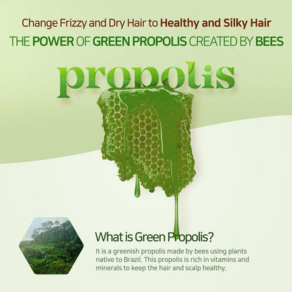 Kerasys Propolis Royal Jelly Extract Green Tea Olive Oil Shiny and Healthy Hair Propolis Green Moisture 33.8 fl oz / 1L (Treatment, 1-Pack)