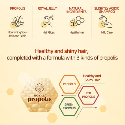 Kerasys Propolis Royal Jelly Extract Green Tea Olive Oil Shiny and Healthy Hair Propolis Green Moisture 33.8 fl oz / 1L (Shampoo, 2-Pack)