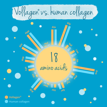 Vegavero Vegan Collagen Complex + Hyaluronic Acid - NO Additives - Vegan Collagen Powder Vollagen - Essential Amino Acids - 120 Capsules