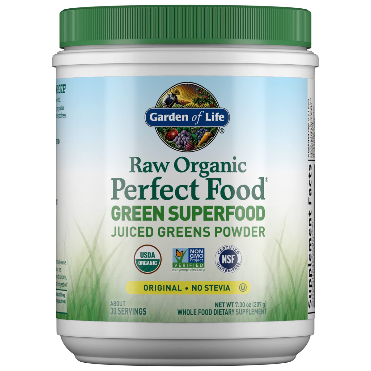 Garden of Life Raw Organic Perfect Food Alkalizer & Detoxifier Juiced Greens Superfood