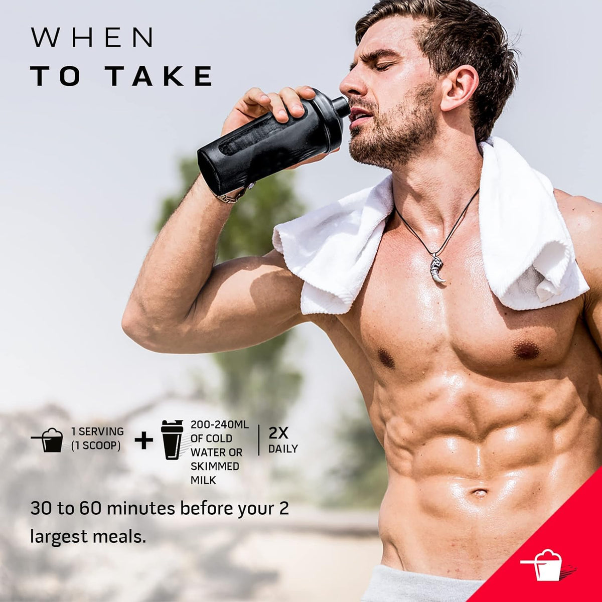 Protein Powder for Weight Loss - MuscleTech Nitro-Tech Ripped - Whey Protein Powder
