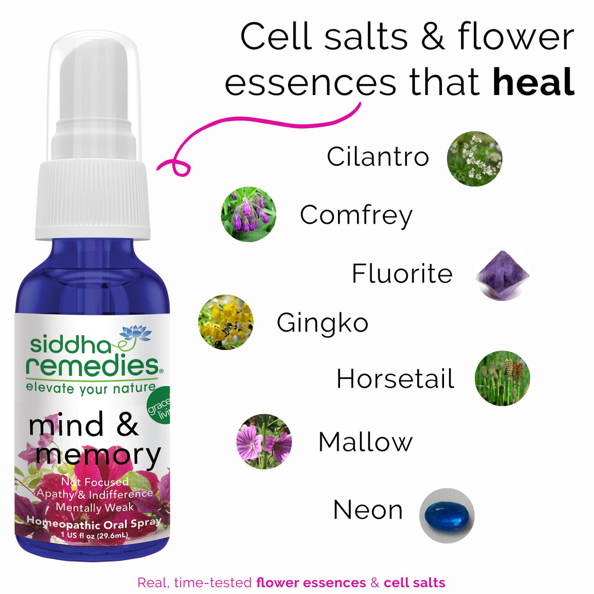 Siddha Remedies Mind & Memory Spray for Apathy, Indifference & Low Focus
