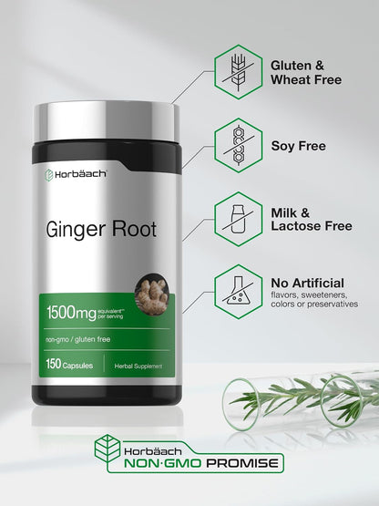 Horbäach Ginger Root Extract Supplement - 150 Capsules - Traditional Herbal Formula - Non-GMO & Gluten Free