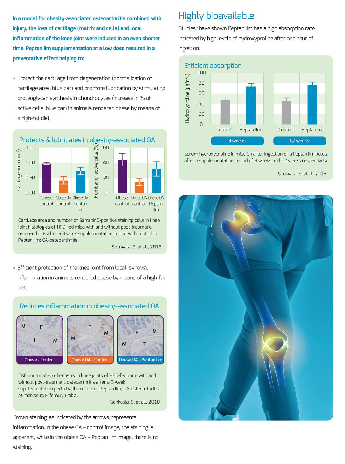 New: Colartix Collagen - 120 Capsules - Joint Specific Type II Collagen from Cartilage