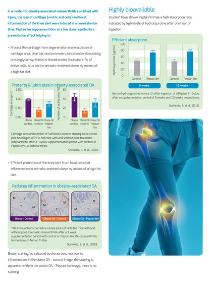 New: Colartix Collagen - 120 Capsules - Joint Specific Type II Collagen from Cartilage