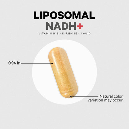 Codeage Liposomal NADH+ Supplement - CoQ10 - Vitamin B12 - D-Ribose Bioenergy