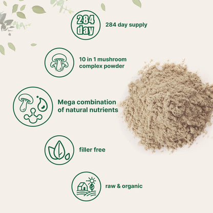 Micro Ingredients Organic Mega Mushroom Powder, 5oz (141 Days Supply) - 10-in-1 with Chaga, Lion’s Mane, Cordyceps & More - Great for Smoothies & Daily Use - Non-GMO, Vegan Friendly