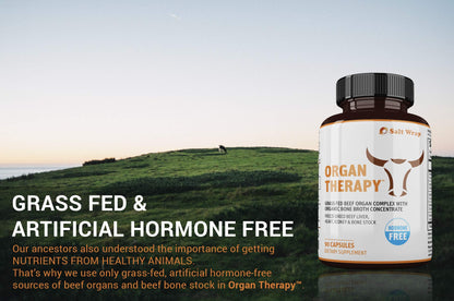 SaltWrap Organ Therapy - Grass Fed Beef Organ Meat Complex Supplement with Organic