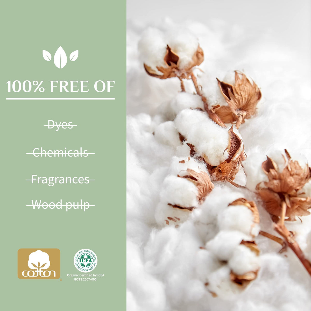 Organyc 100% Organic Cotton Light Incontinence Liners for Bladder Leakage Control