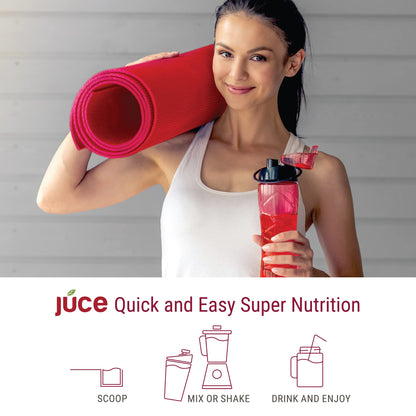 JUCE Reds Organic Superfood Powder - Garden Berry Flavor - Fruit and Veggie Powder