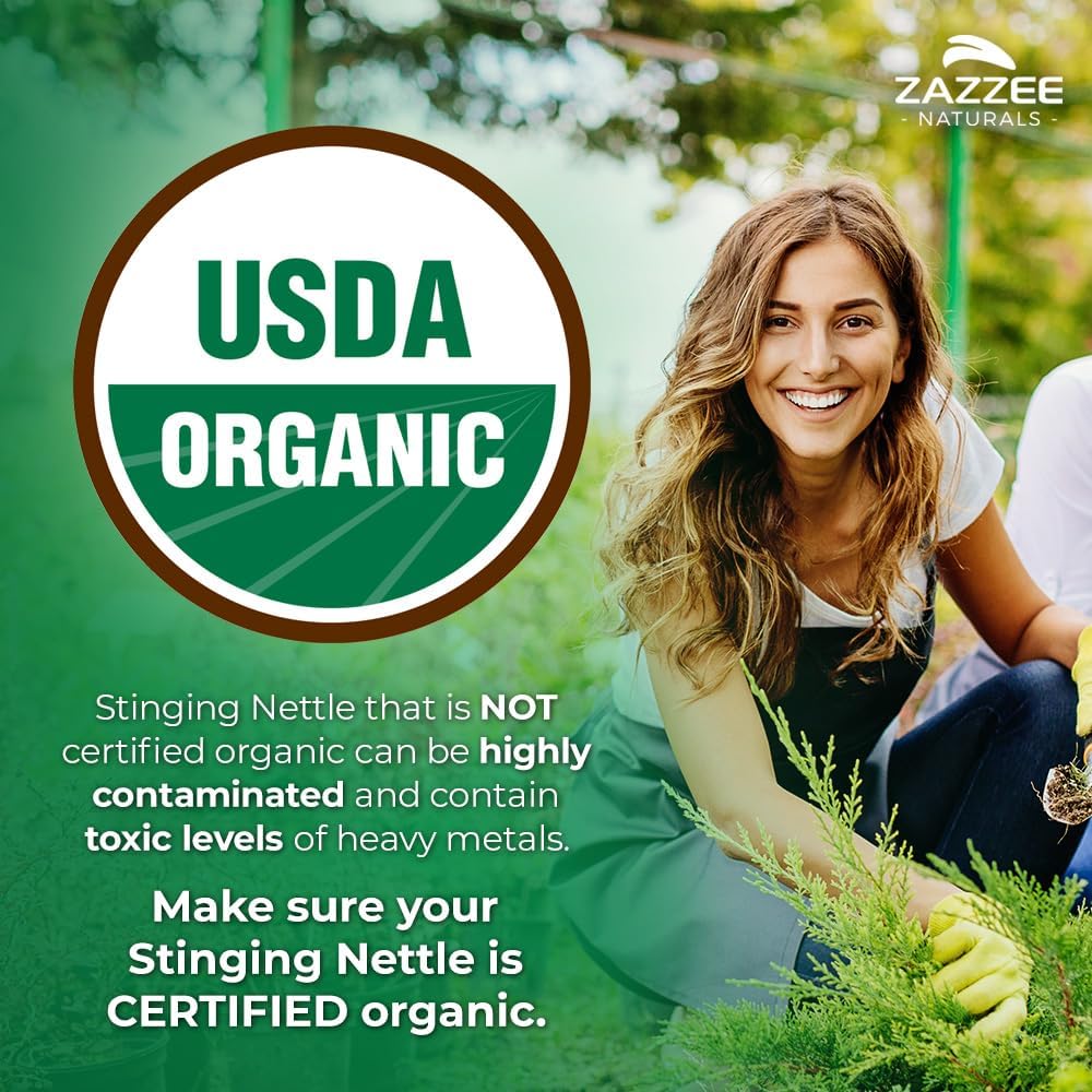 Zazzee USDA Organic Stinging Nettle Leaf 20:1 Extract, 120 Vegan Capsules, 4 Month Supply, Urtica Dioica, Respiratory, Immune & Seasonal Wellness Support, Organic Herbal Supplement, Made in the USA