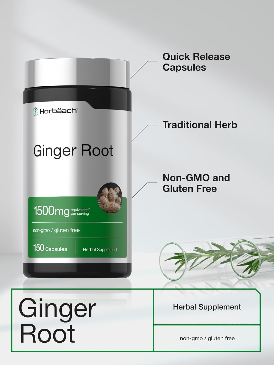 Horbäach Ginger Root Extract Supplement - 150 Capsules - Traditional Herbal Formula - Non-GMO & Gluten Free