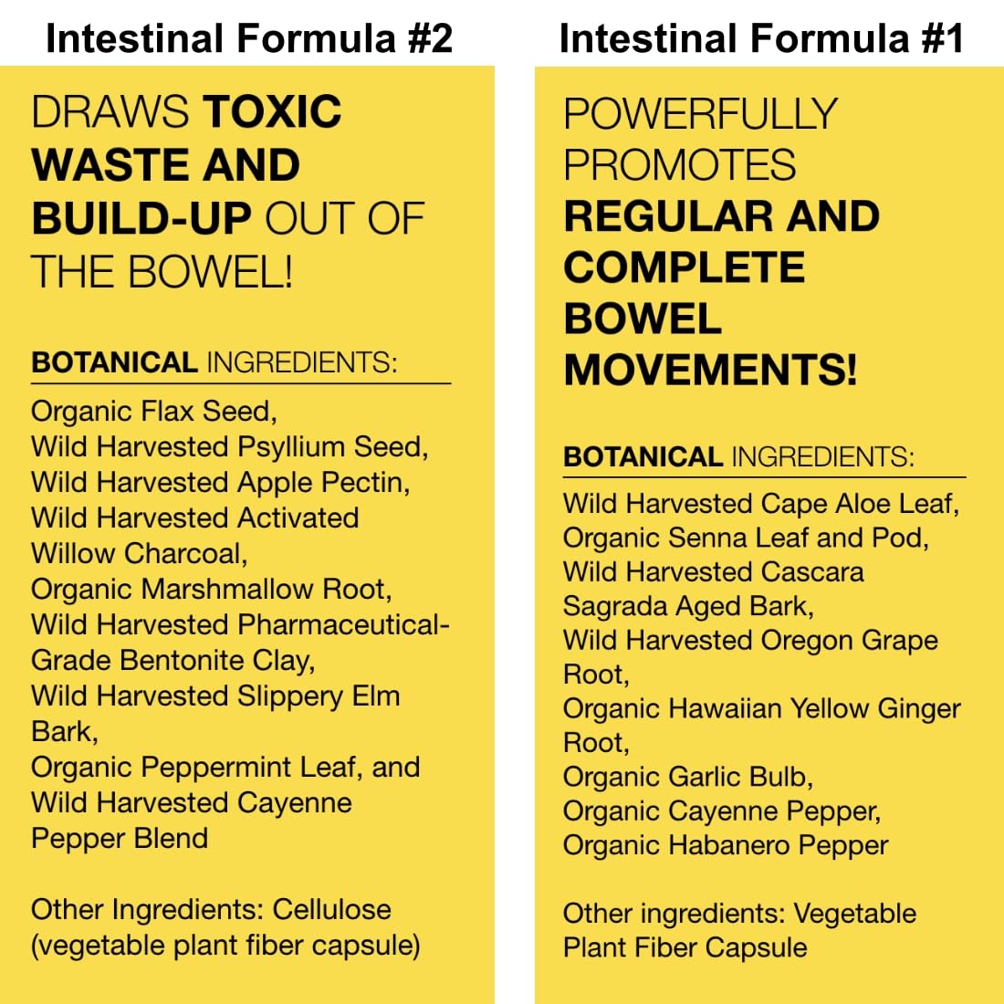 Dr. Schulze's Intestinal Formula #2 (8 Ounces) and Intestinal Formula #1 Capsules