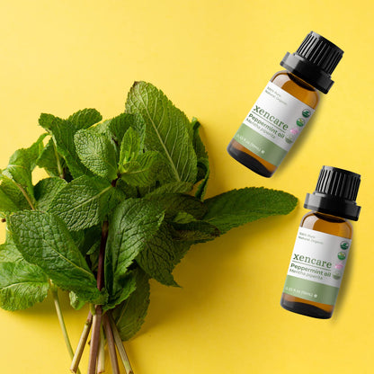 xencare Peppermint USDA Organic Food Grade Essential Oil - 100% Pure Natural Undiluted