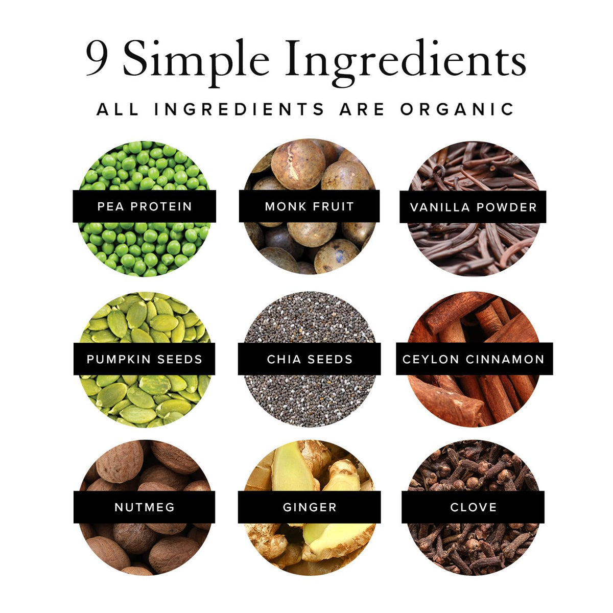 Truvani Organic Vegan Protein Powder Pumpkin Spice - 20g of Plant Based Protein
