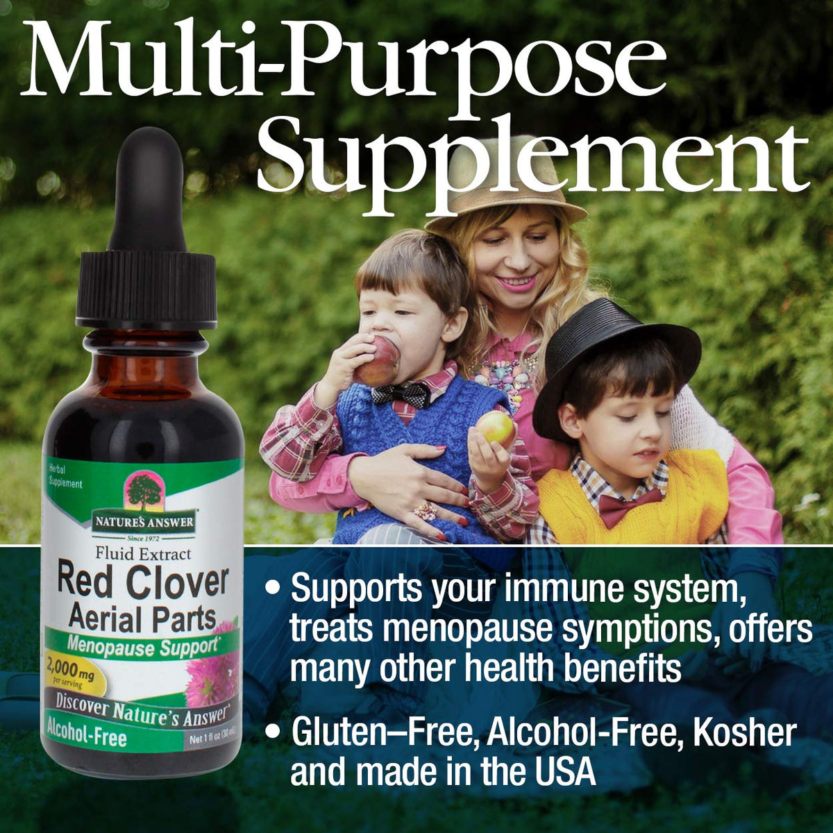 Nature's Answer Red Clover Extract Supplement Alcohol Free 1 Oz (Pack of 4) - Natural Mood Support