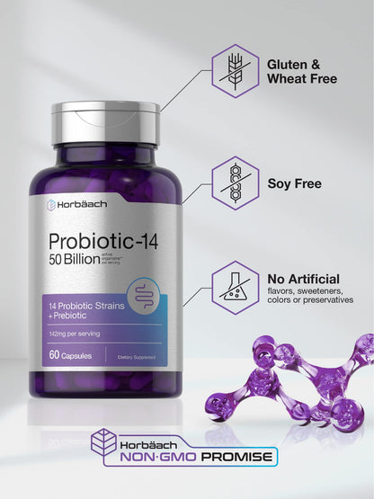 Horbäach Probiotics with Prebiotics - 60 Capsules - 50 Billion Active Organisms - Non-GMO
