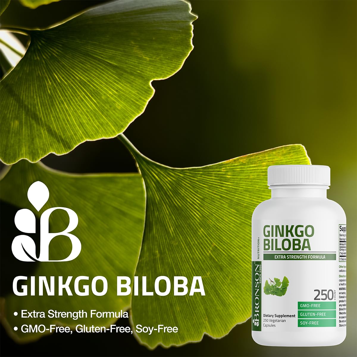 Bronson Ginkgo Biloba Extra Strength Brain & Memory Support 120 Capsules - Vegetarian, Non-GMO, Gluten Free, Soy Free, Memory, Cognitive & Brain Health Support