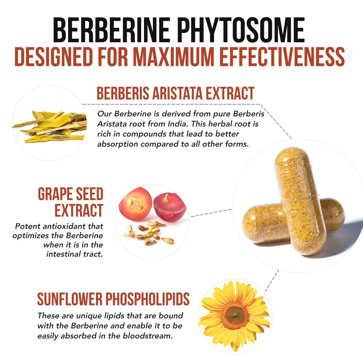 SoActive Berberine 550mg: 9.6X Higher Absorption