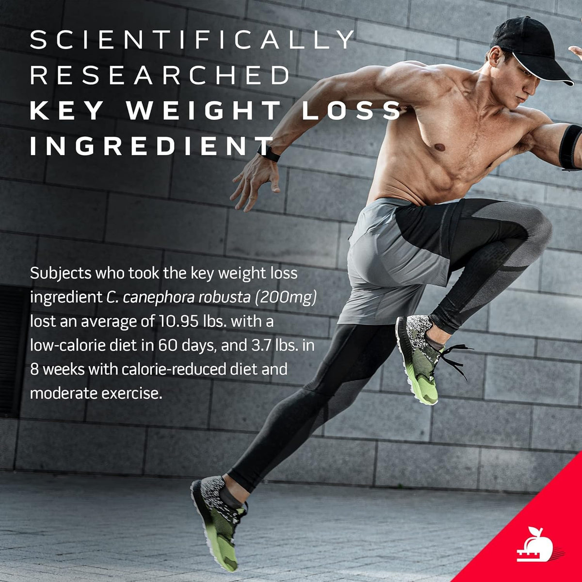 Protein Powder for Weight Loss - MuscleTech Nitro-Tech Ripped - Whey Protein Powder
