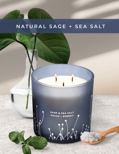 White Sage Sea Salt 3 Wick Candle 14.5 oz - Sage Candles for Cleansing House - Large Soy Candles