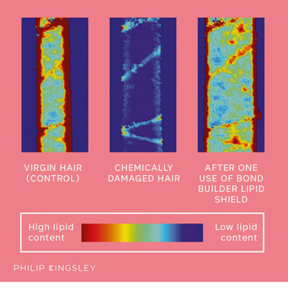 PHILIP KINGSLEY - Bond Builder Lipid Shield - Restorative Hair Oil Treatment for Dry and Damaged Hair - Heat Protectant Hair Moisturizer that Replenishes Dry and Damaged Hair - 1.01oz