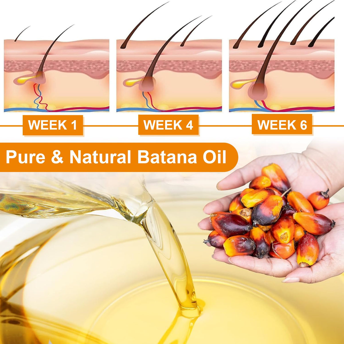 2 Pack Batana Oil for Hair Growth